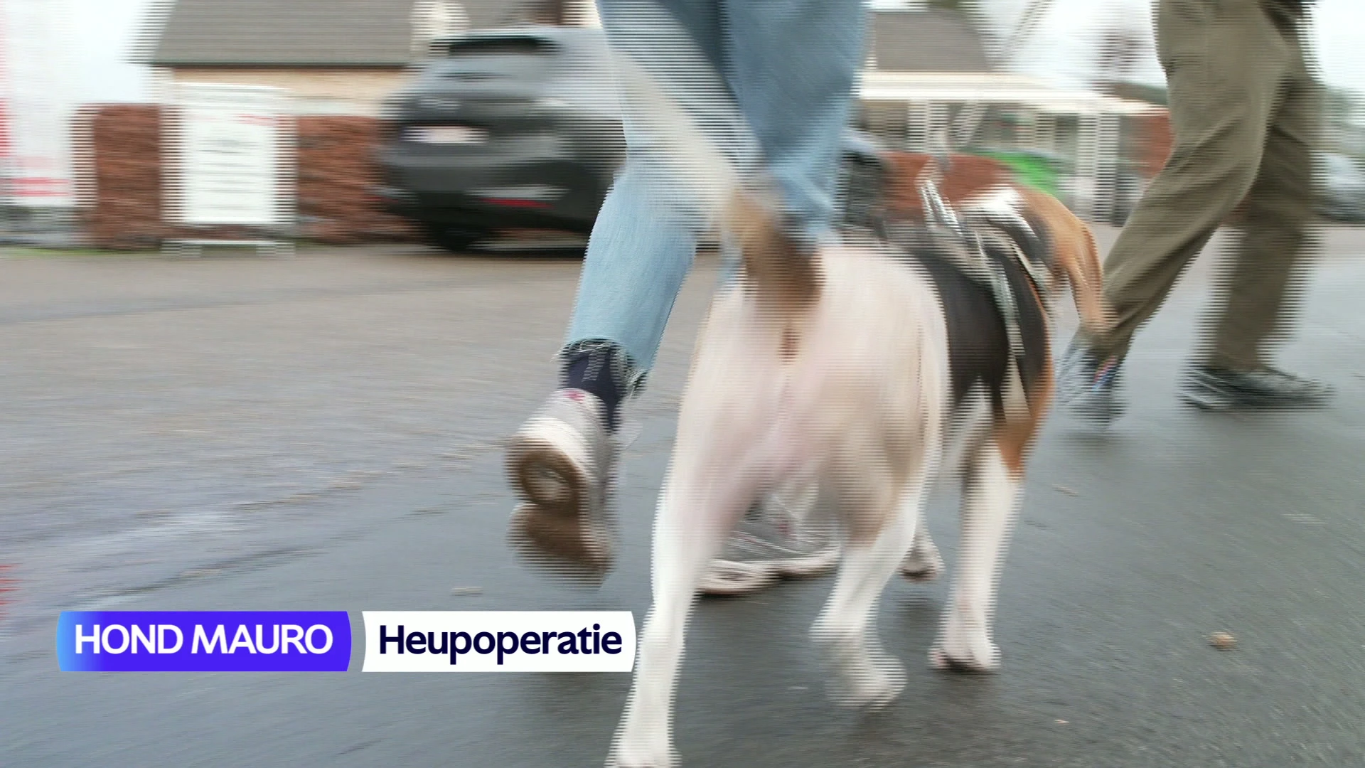 Hoofdafbeelding voor artikel TVL Nieuws, 2 februari 2026