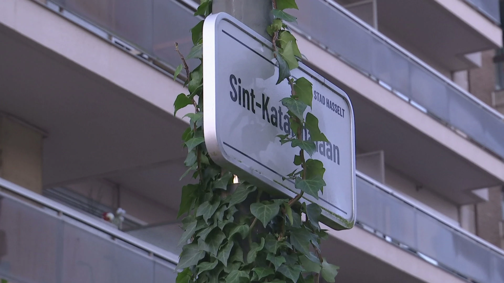 Hoofdafbeelding voor artikel Wandelaar treft levenloos…