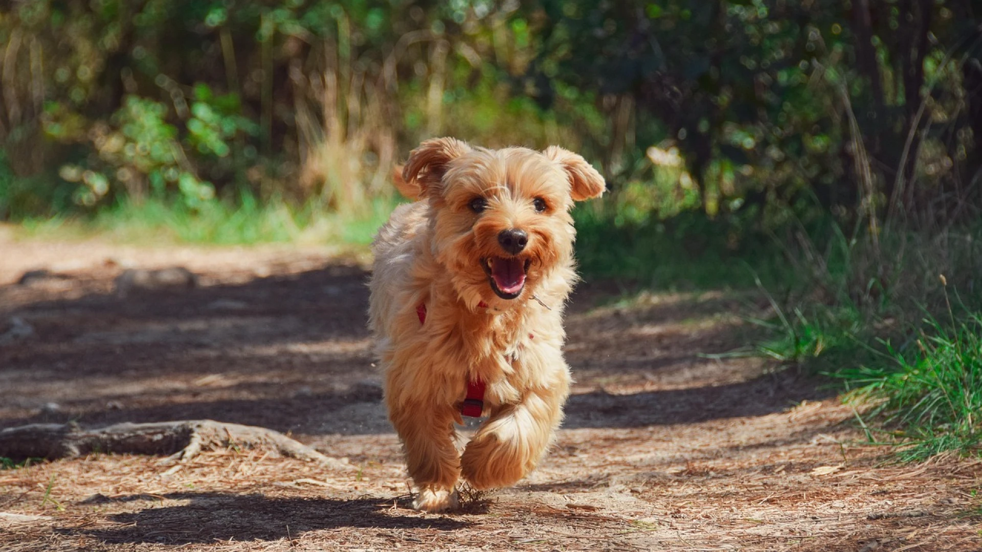 Hoofdafbeelding voor artikel Hasselt neemt extra maatregelen…