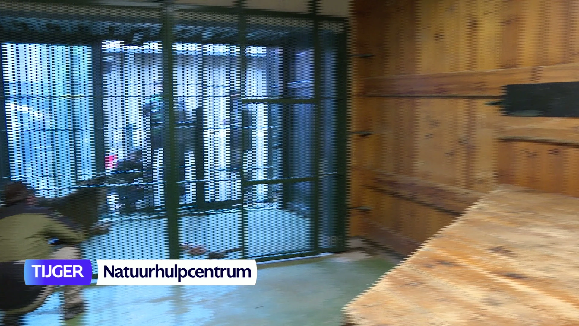 Hoofdafbeelding voor artikel TVL Nieuws, 13 februari 2026