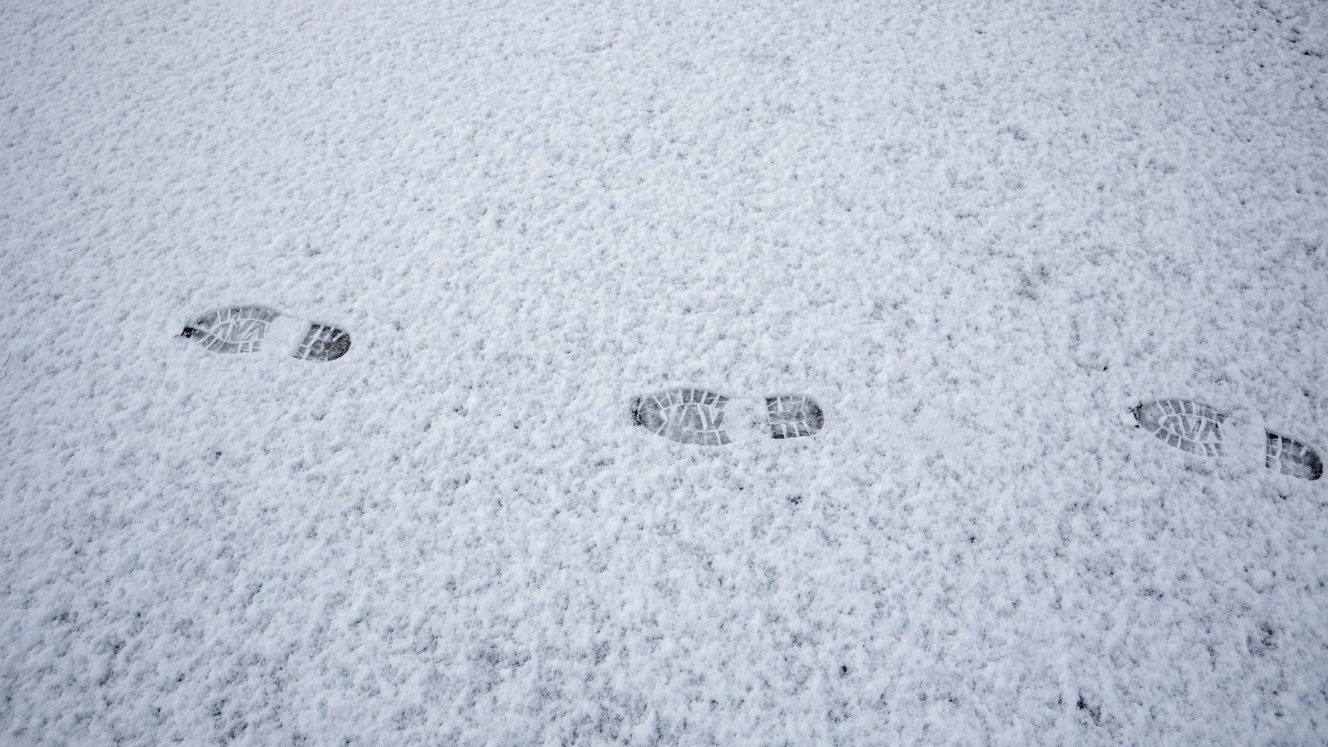 Hoofdafbeelding voor artikel Vier tot acht centimeter sneeuw…