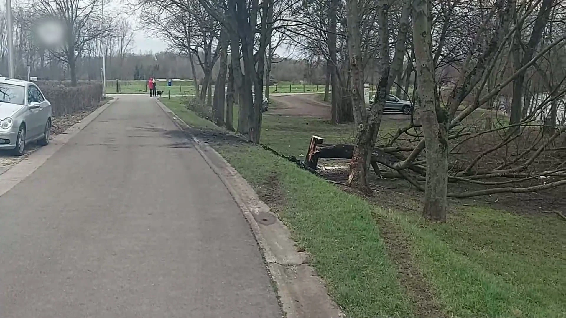 Hoofdafbeelding voor artikel Porscherijder na dodelijk…