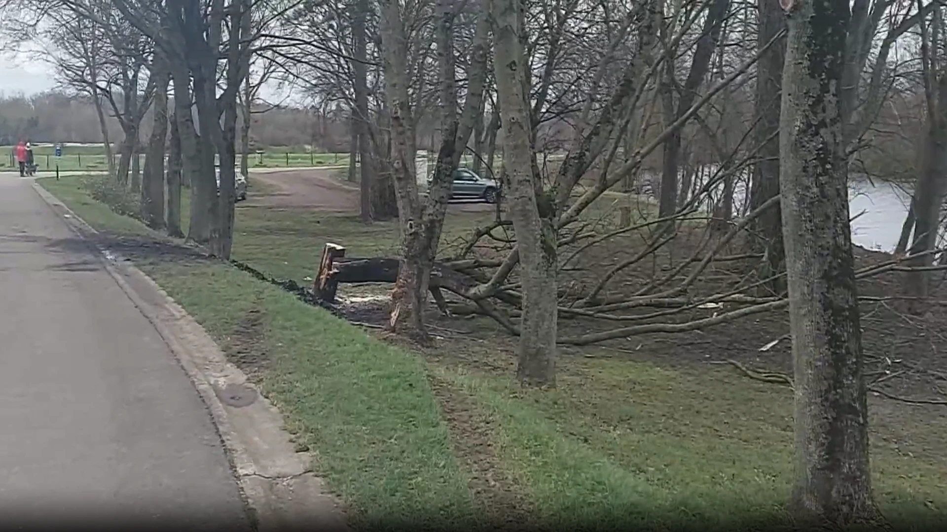 Hoofdafbeelding voor artikel Bestuurder krijgt 200 uur…