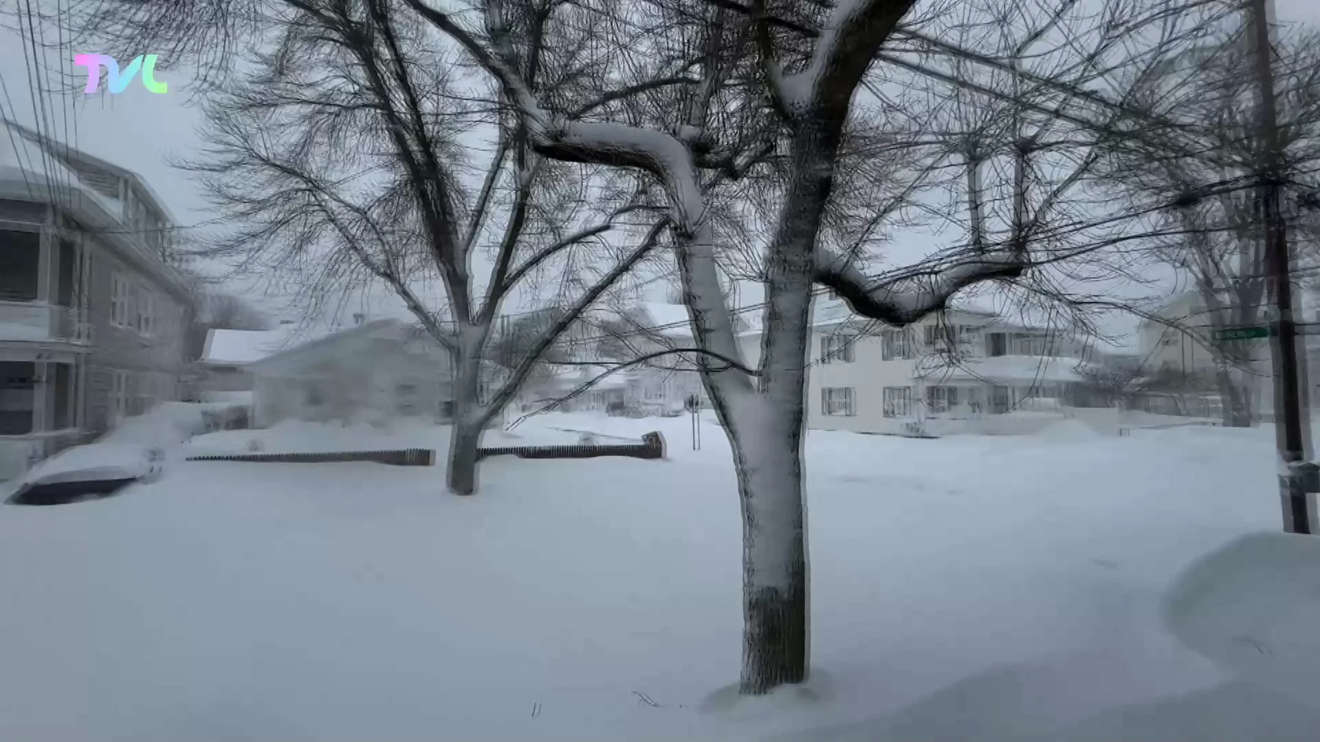 Hoofdafbeelding voor artikel Limburgse Alicia Bens aan…