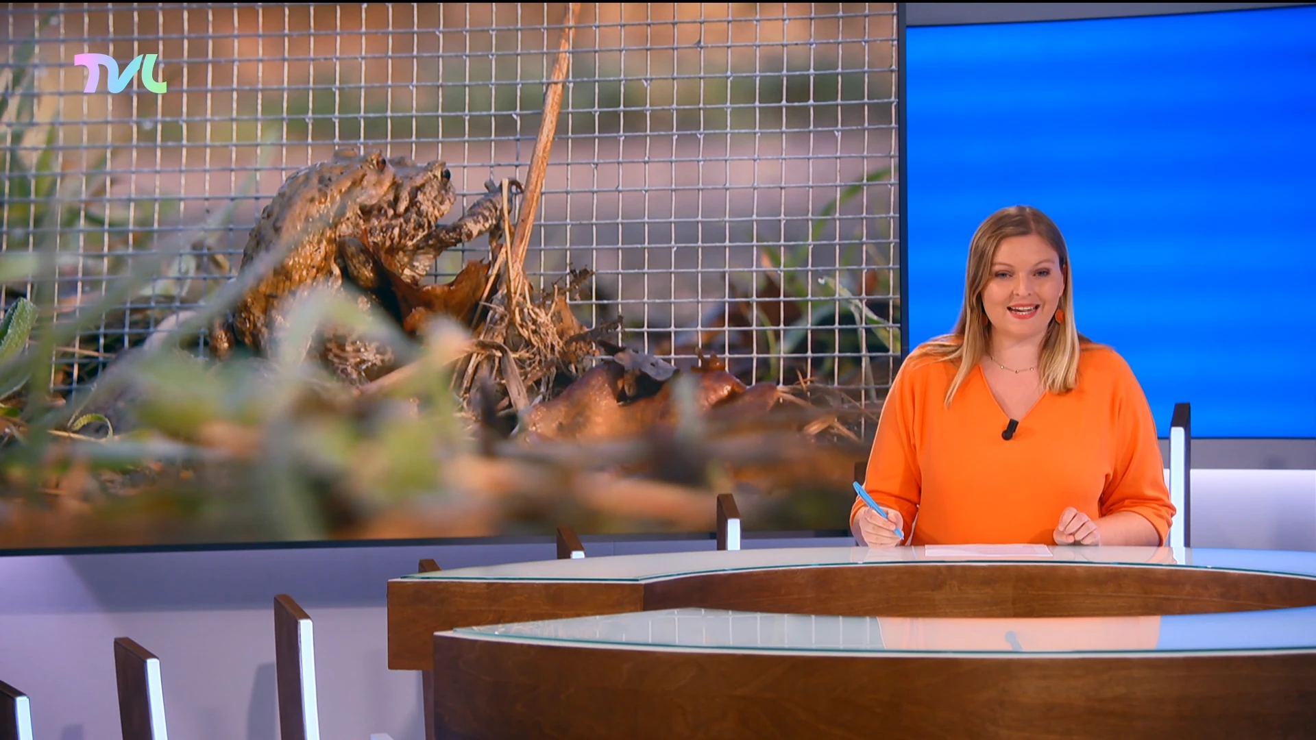 Hoofdafbeelding voor artikel TVL Nieuws, 26 februari 2026