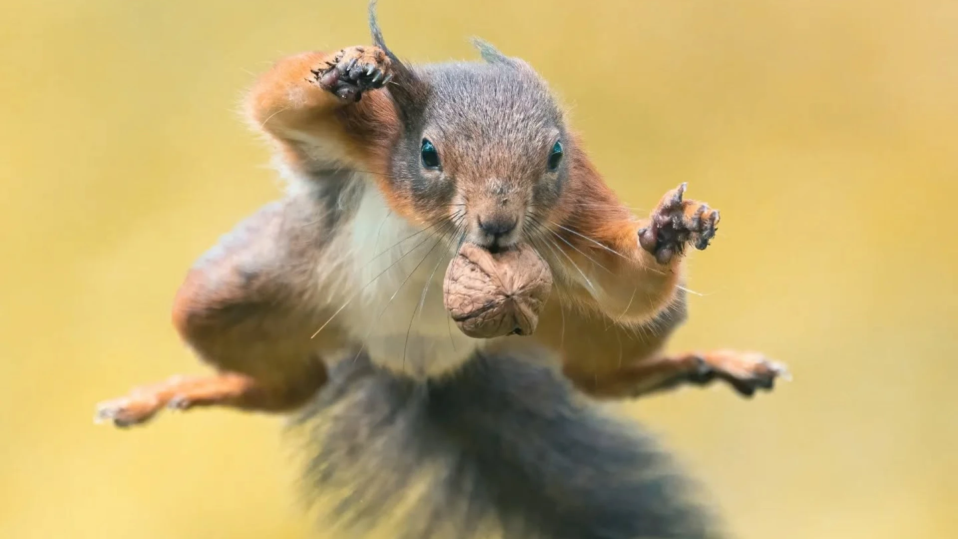 Hoofdafbeelding voor artikel Een laatste blik door de lens:…