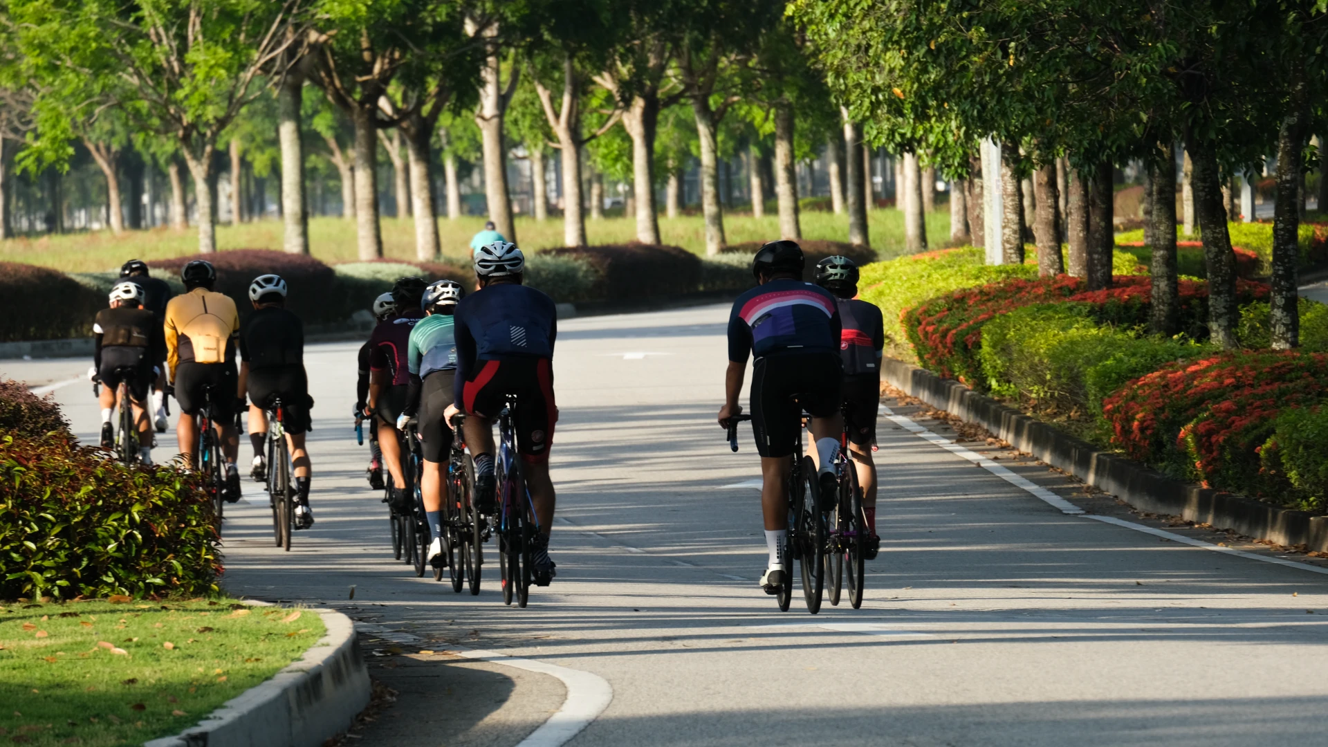 Hoofdafbeelding voor artikel Wielerseizoen van start: dit…