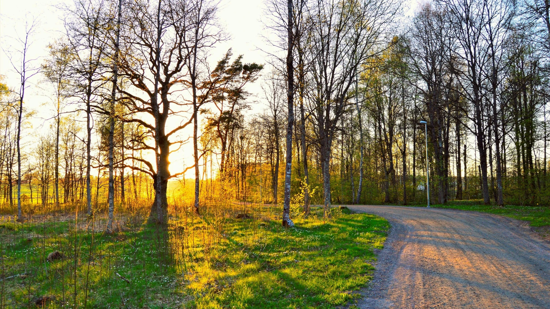 Hoofdafbeelding voor artikel Lentezon gaat volop schijnen…
