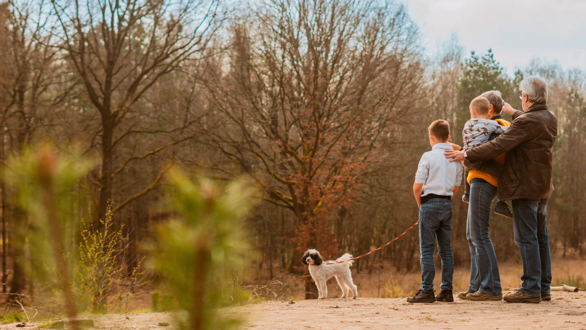 Hoofdafbeelding voor artikel Meer dan 3.200 dieren kregen…