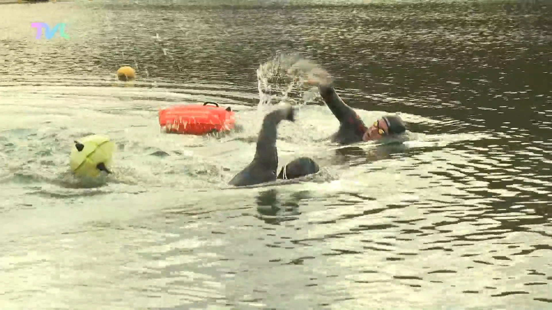 Hoofdafbeelding voor artikel Minister Jo Brouns zwemt grote…