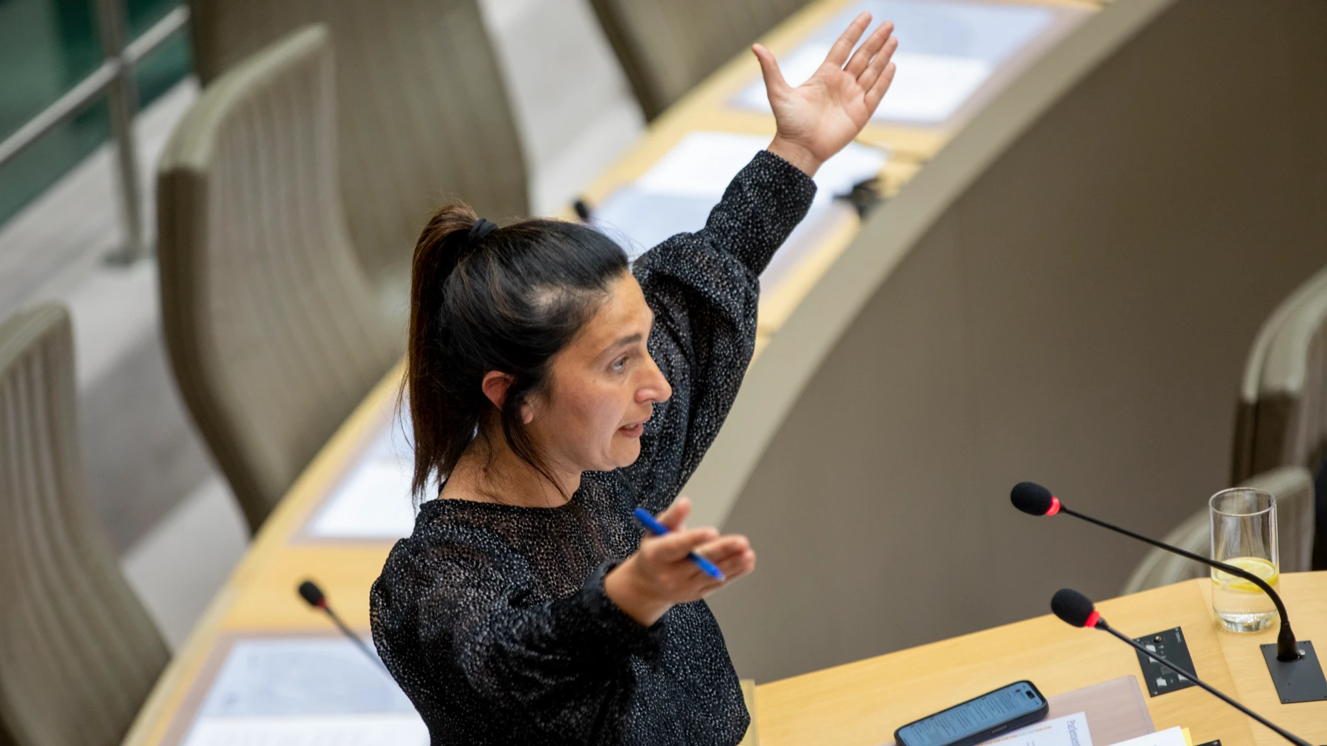 Hoofdafbeelding voor artikel Nieuw strafwetboek invoeren…