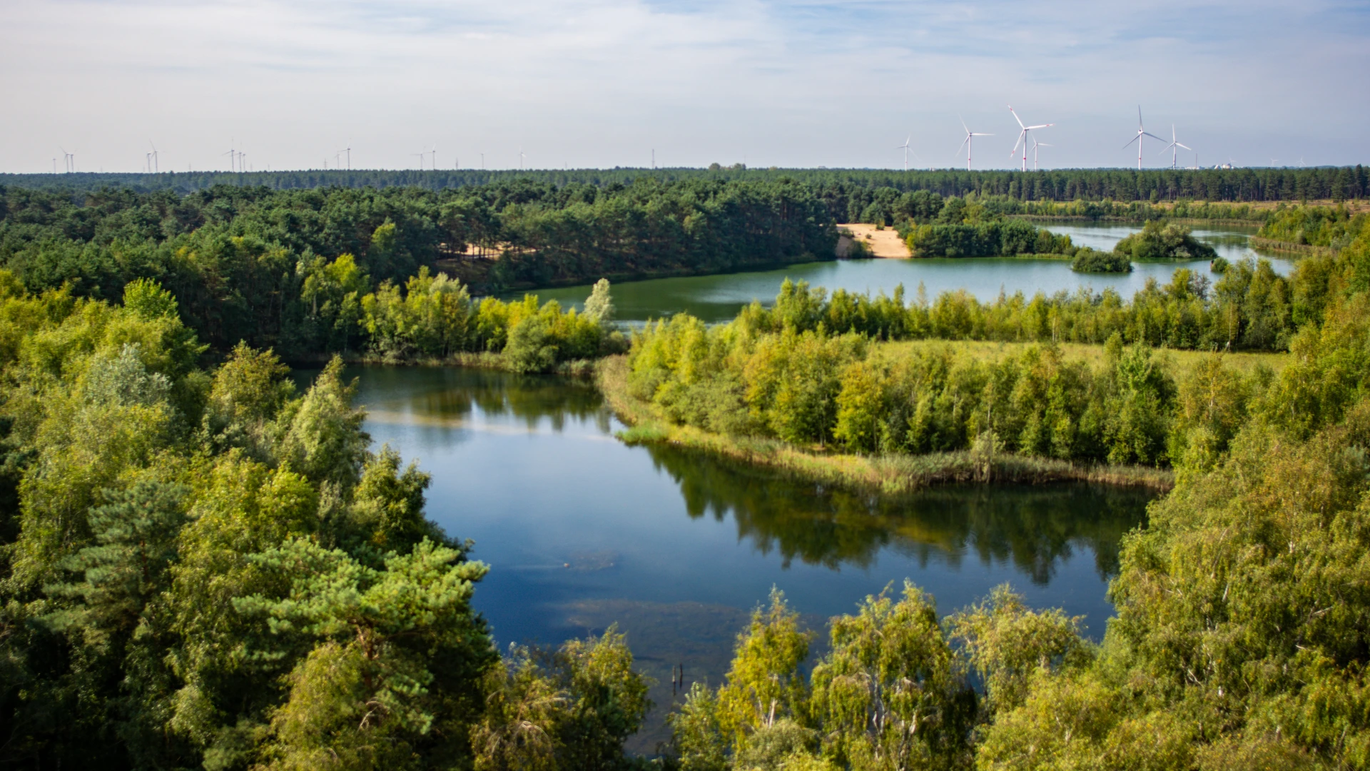 Hoofdafbeelding voor artikel Geen interesse voor bosuitbreiding…