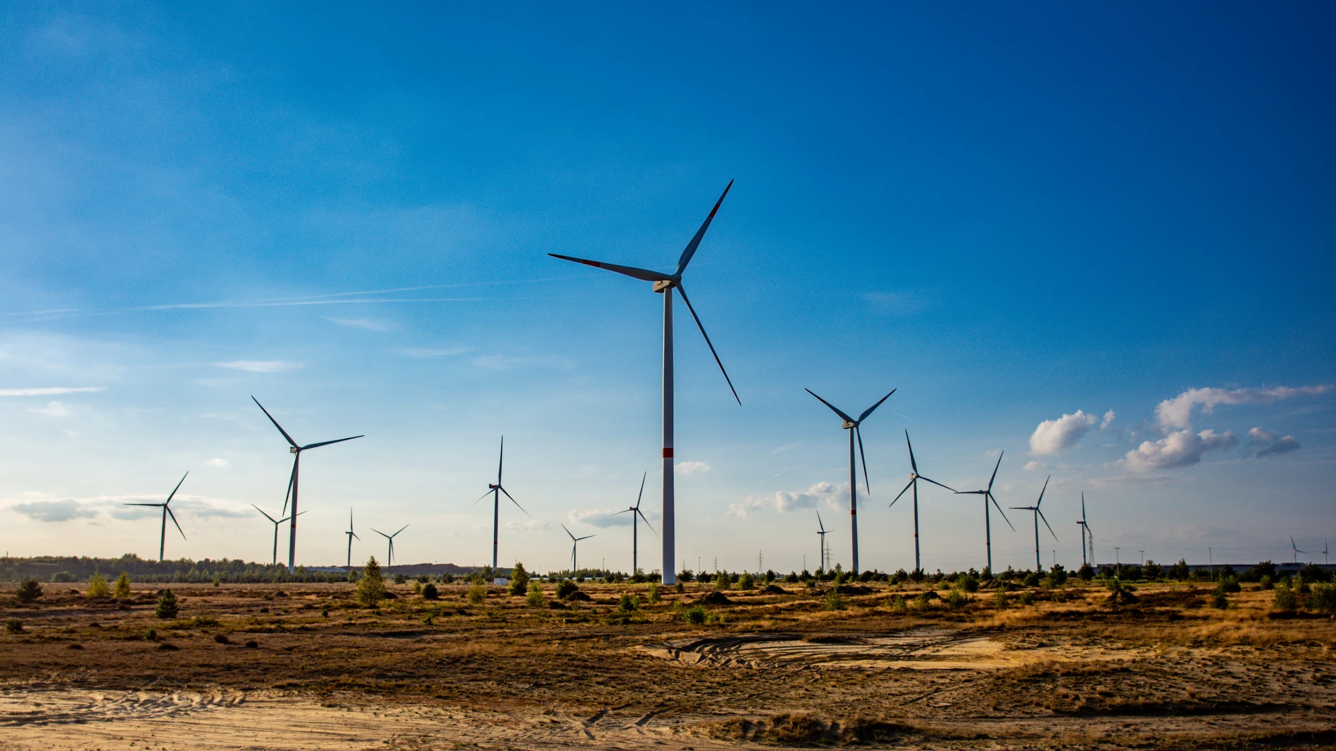 Hoofdafbeelding voor artikel Limburg Schakelt (aflevering…