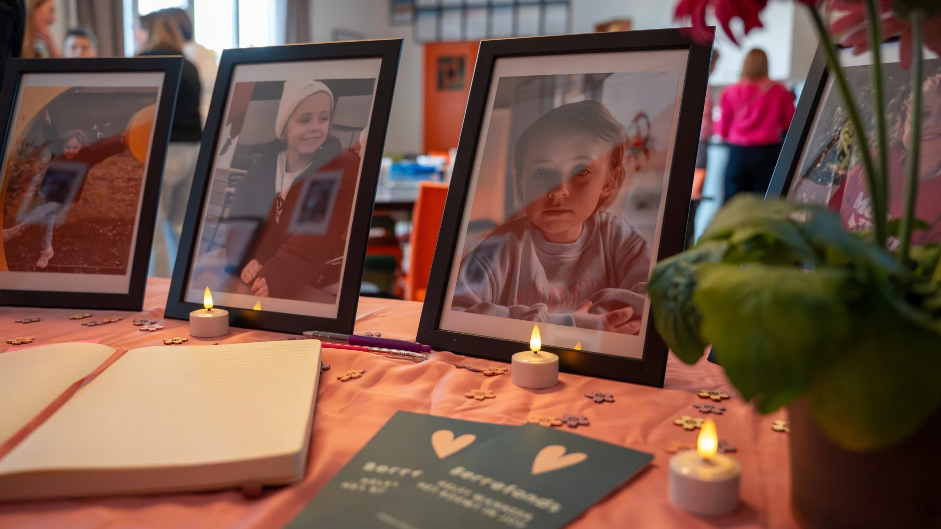 Hoofdafbeelding voor artikel Inez (6) uit Zonhoven overleden…