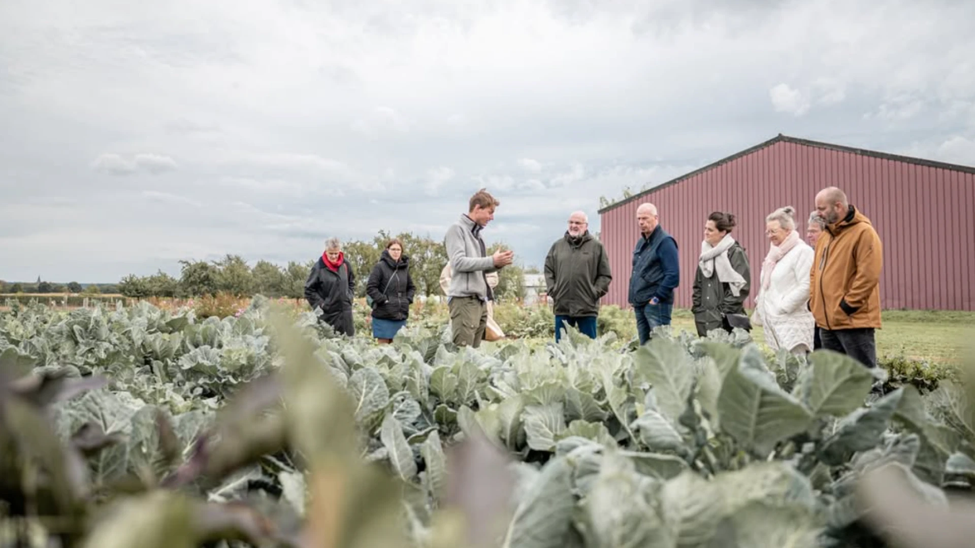 Hoofdafbeelding voor artikel Riemstse bioboer in Europese…