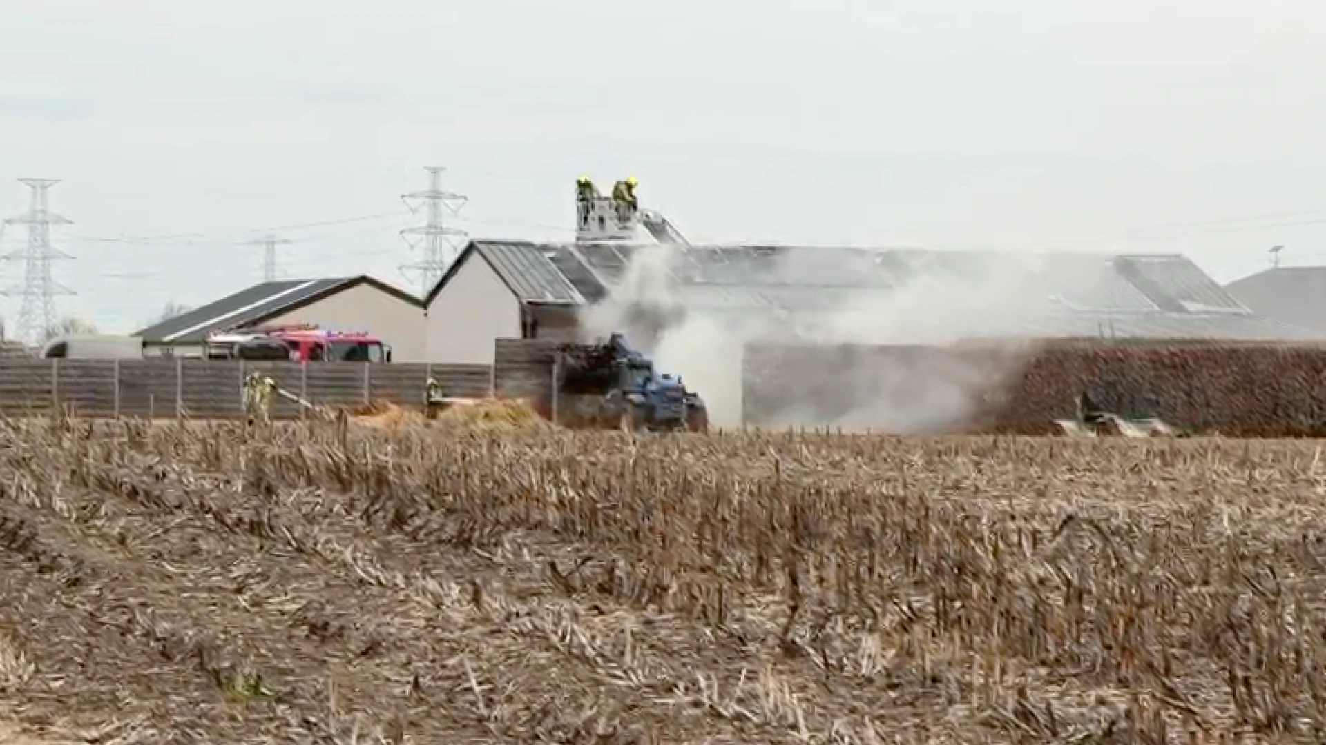 Zeven paarden omgekomen bij zware stalbrand in Maaseik