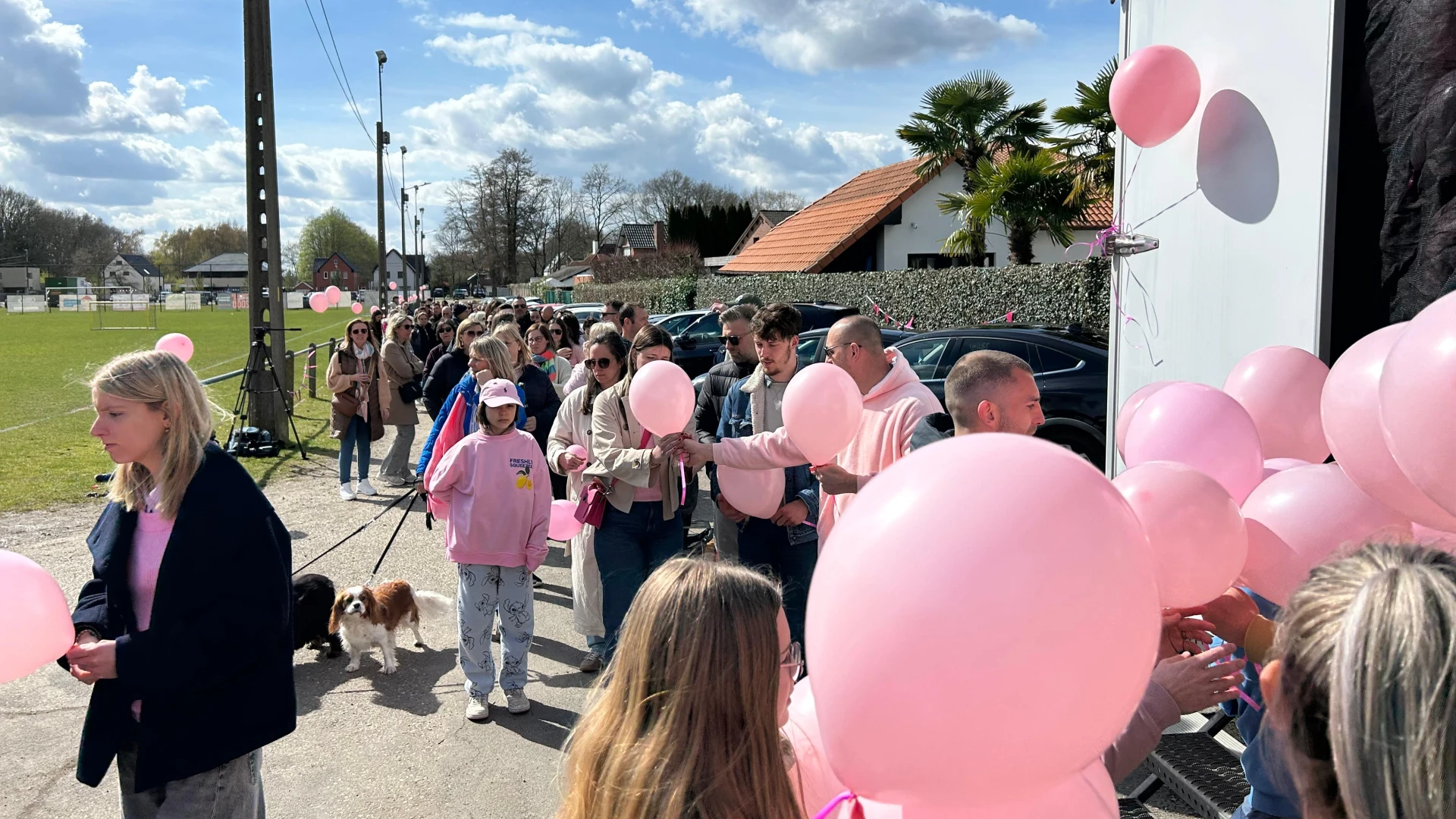 Hoofdafbeelding voor artikel Zonhoven brengt eerbetoon…