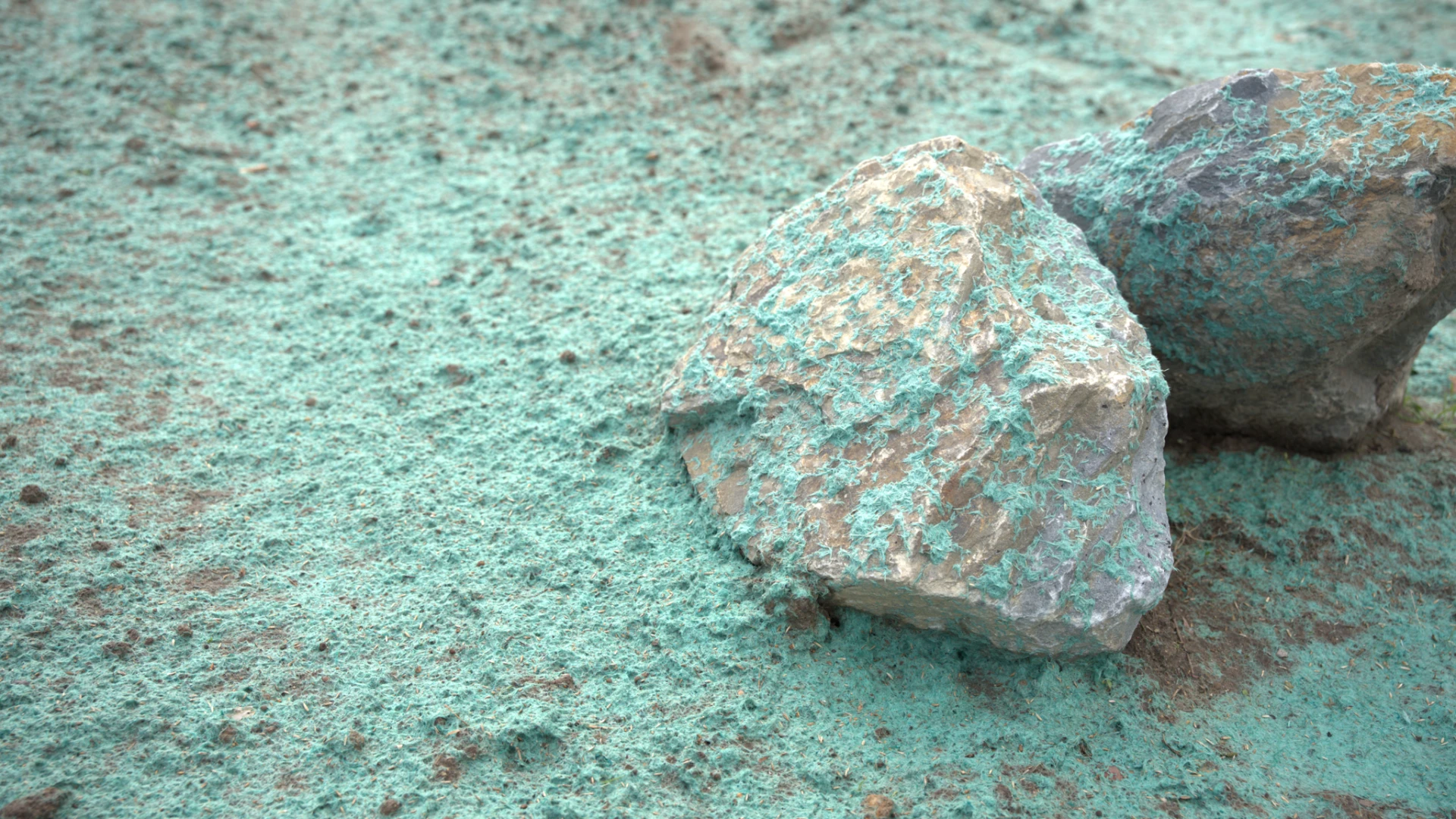 Hoofdafbeelding voor artikel Groene smurrie in Kiewit is…