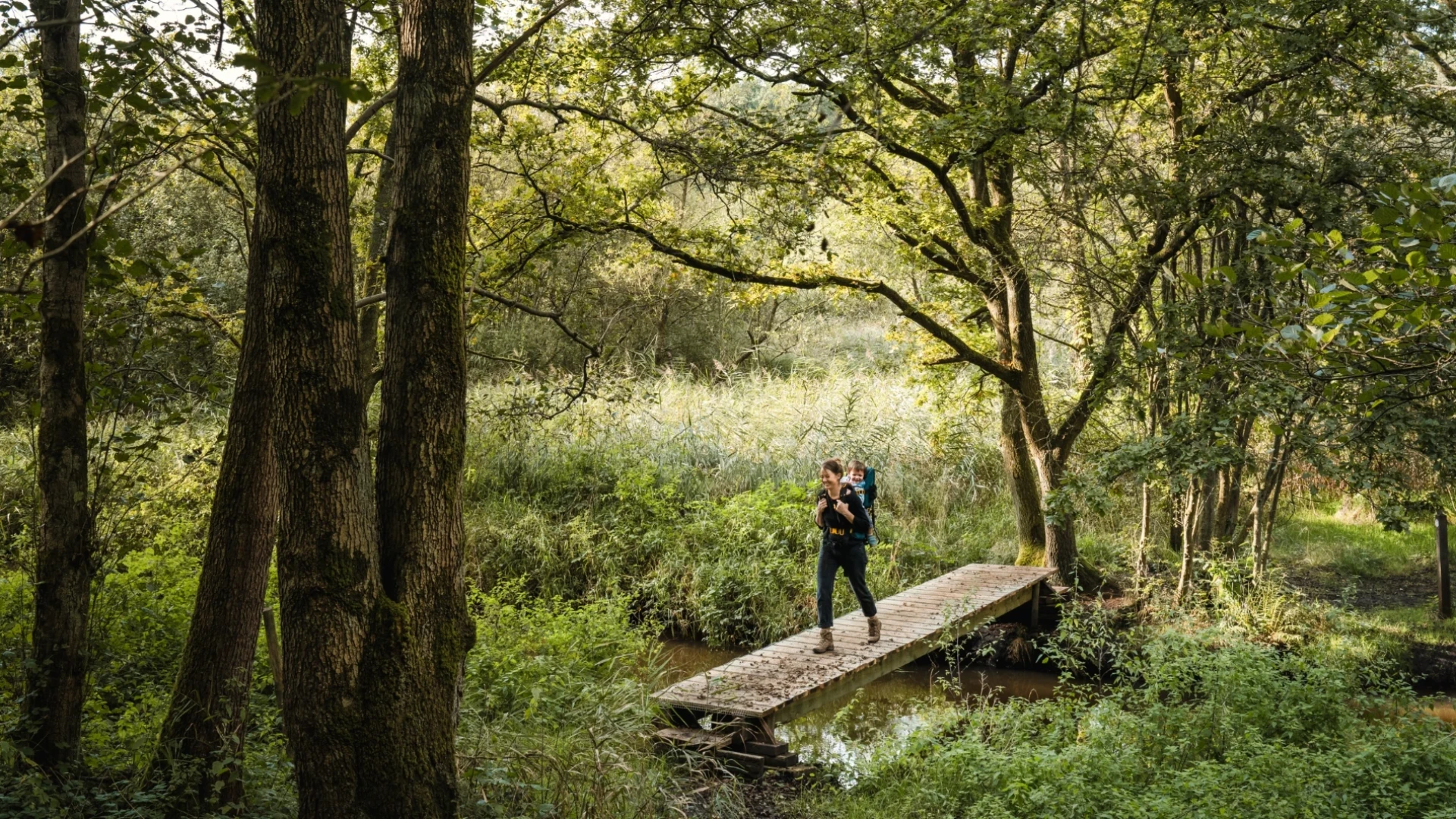 Hoofdafbeelding voor artikel Visit Peer gaat digitaal