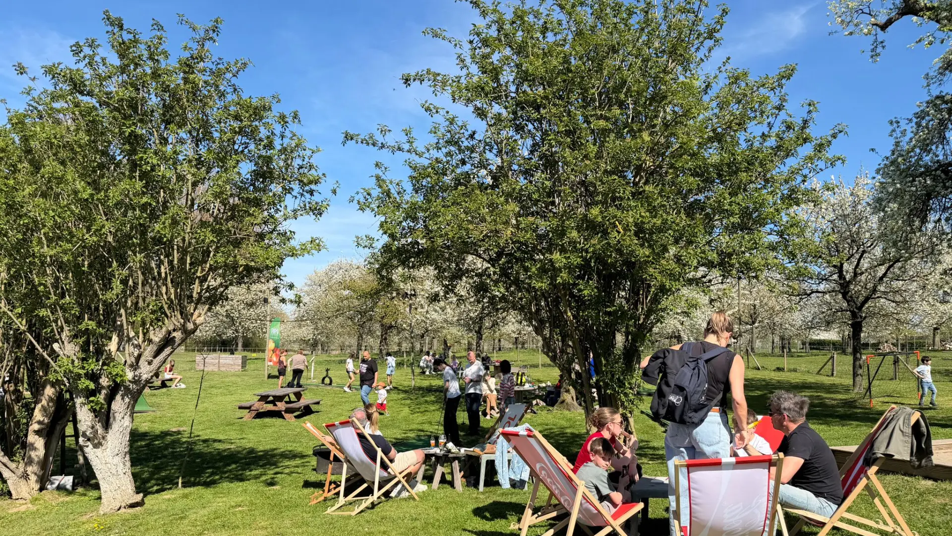 Hoofdafbeelding voor artikel Voor het eerst dit jaar boven…