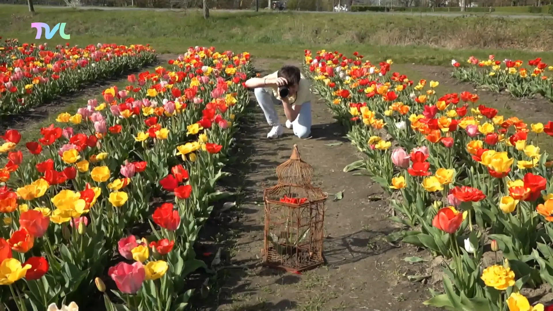 Hoofdafbeelding voor artikel Mooie weer doet populariteit…