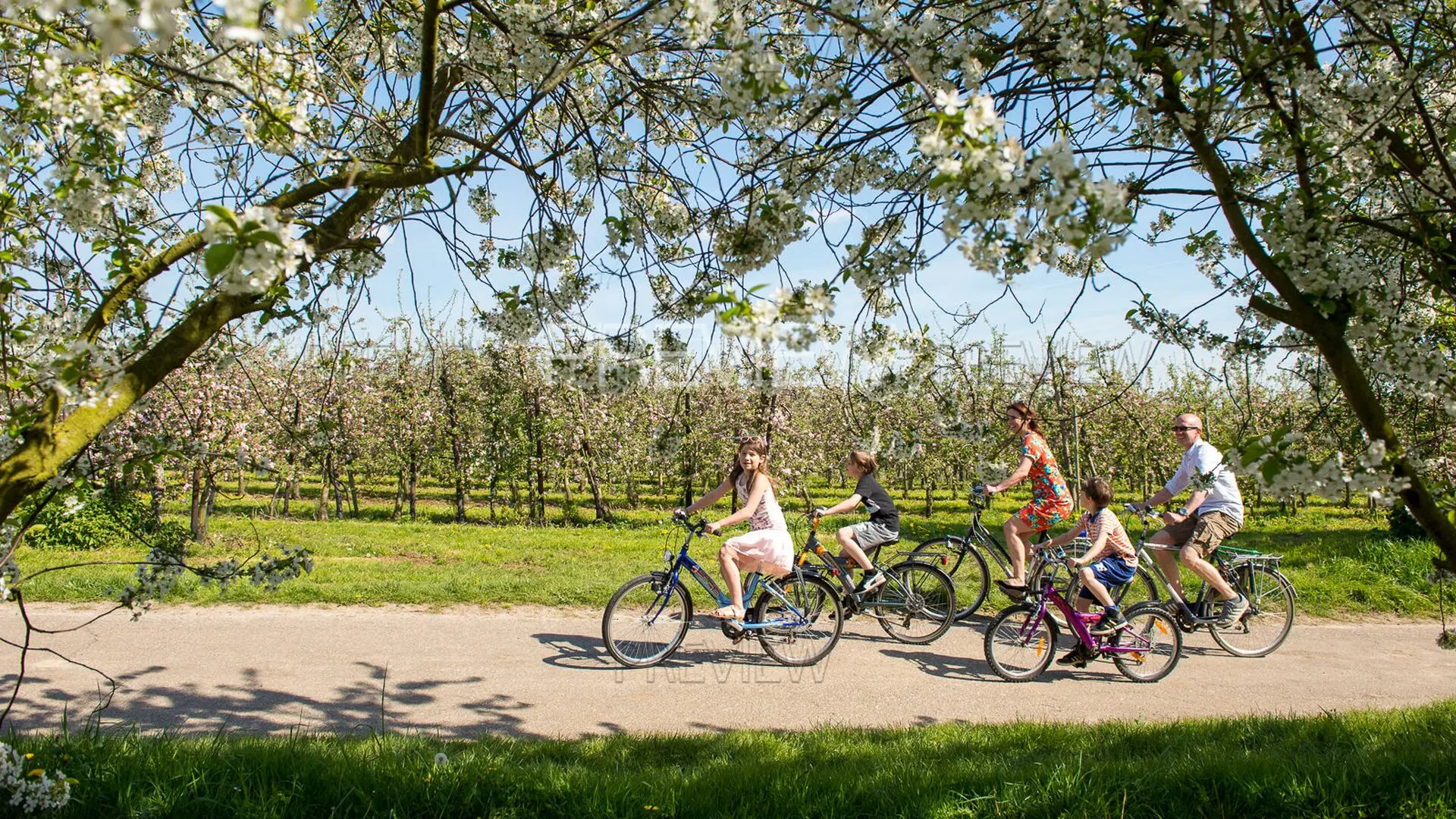 Hoofdafbeelding voor artikel 15 miljoen Braziliaanse kijkers…