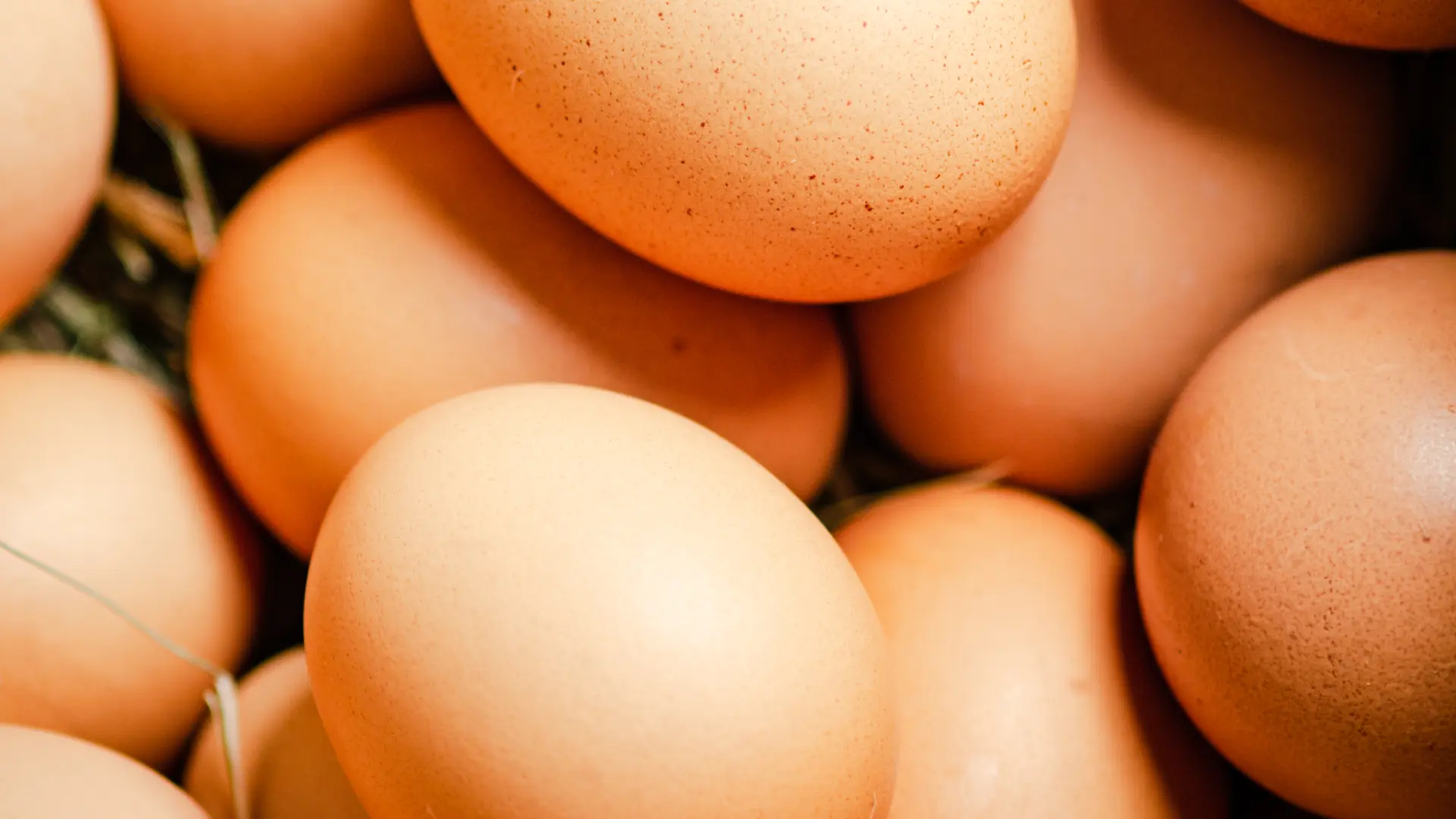 Hoofdafbeelding voor artikel Maasgemeenten willen meer…