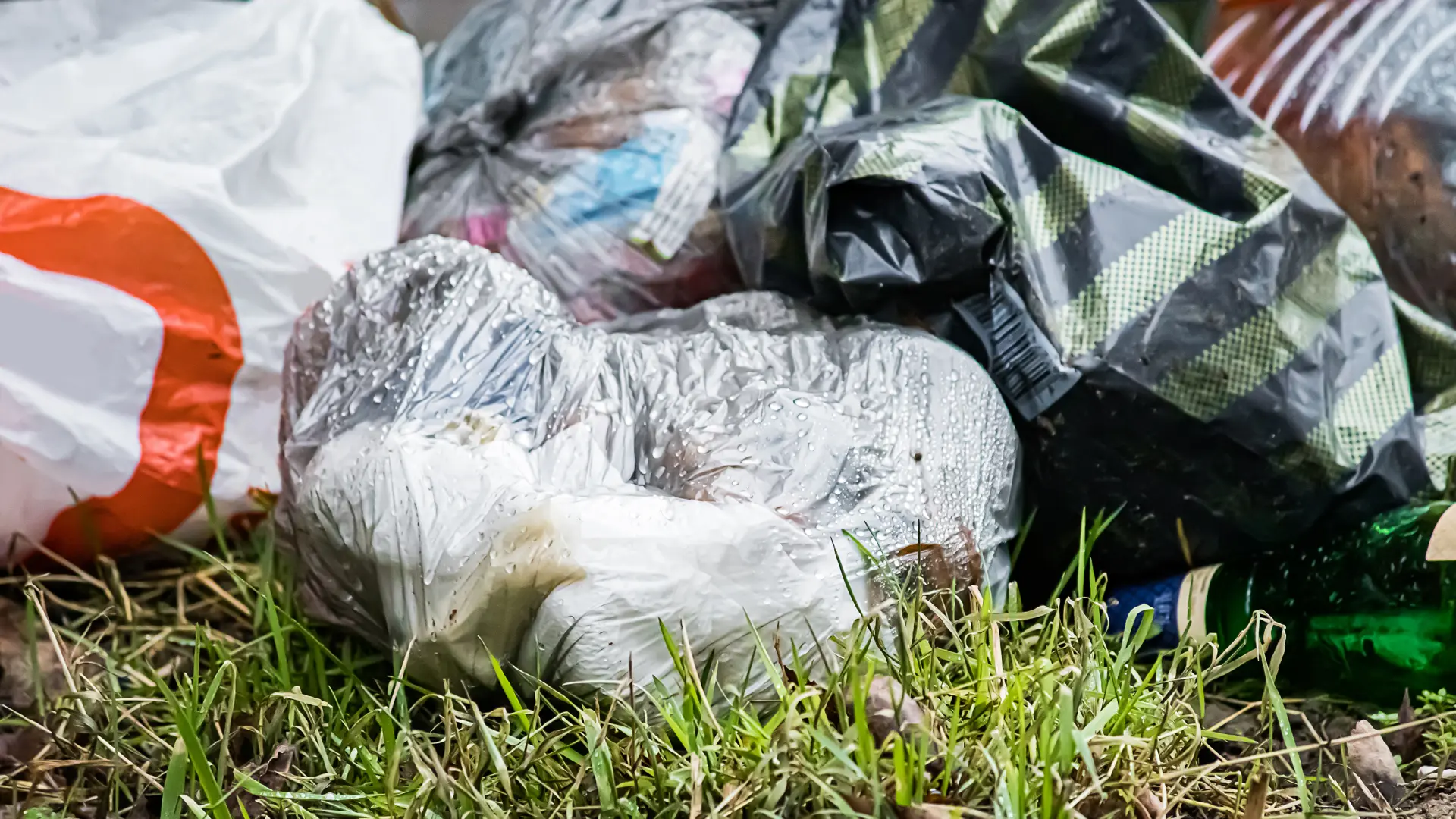 Hoofdafbeelding voor artikel Limburgse steden en gemeenten…