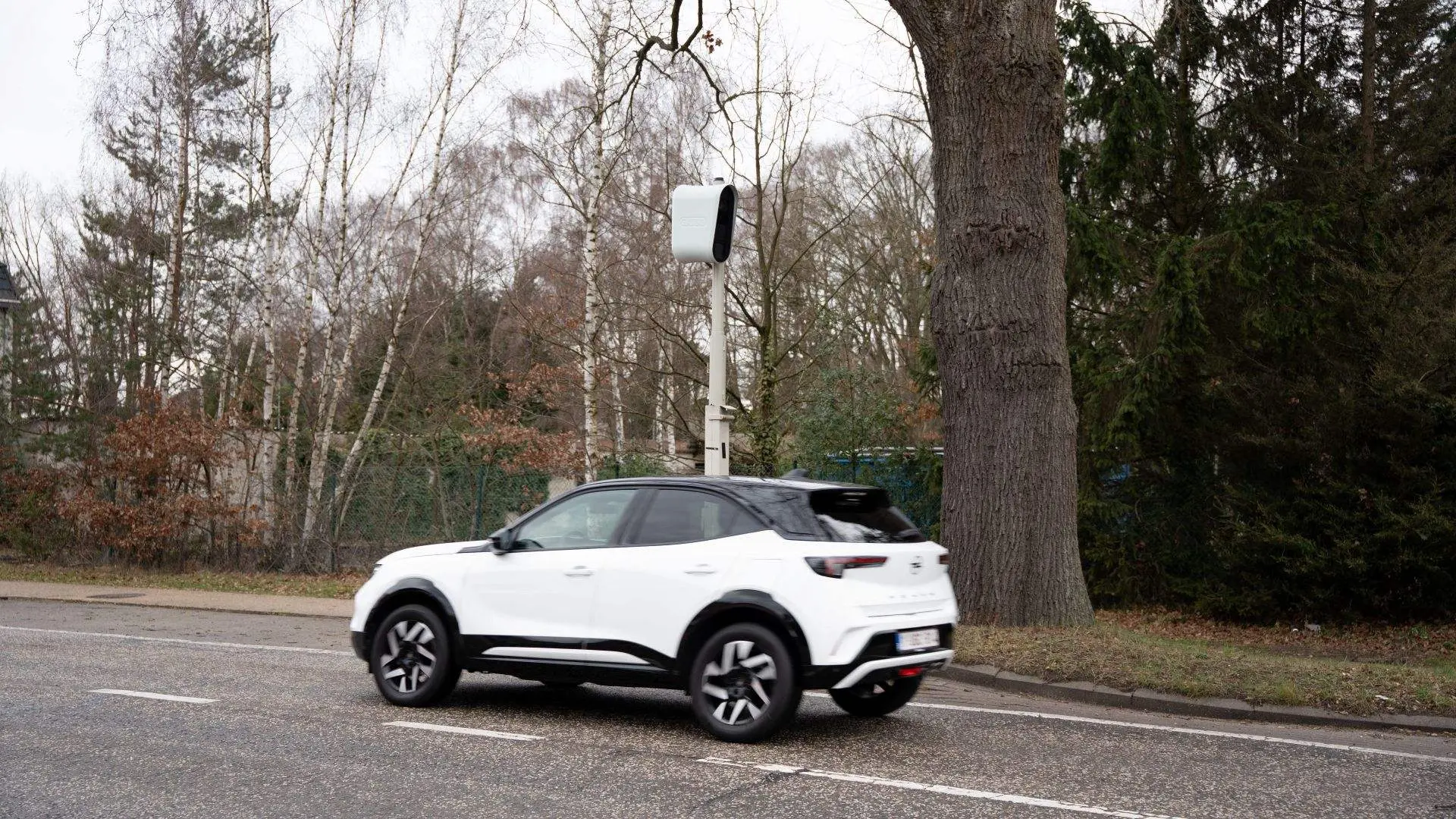 Hoofdafbeelding voor artikel Meer dan een derde van de…