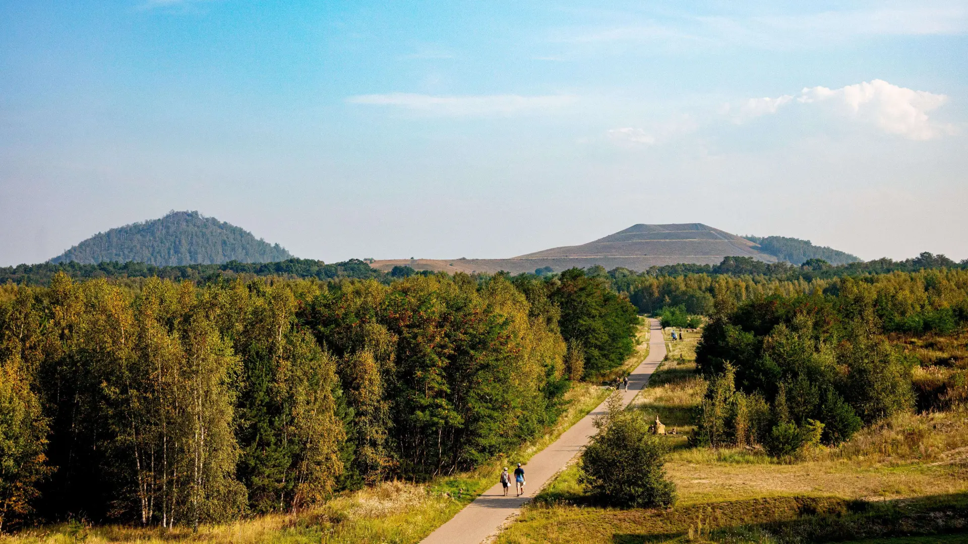 Hoofdafbeelding voor artikel Nationaal Park Hoge Kempen…