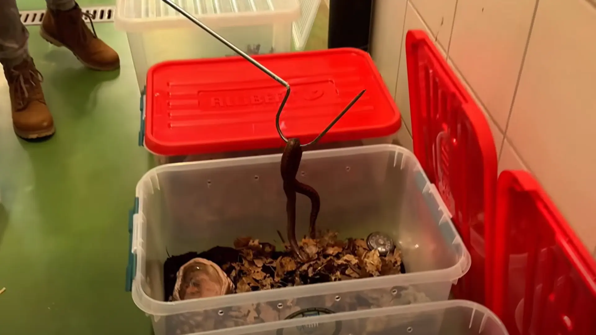 Hoofdafbeelding voor artikel Natuurhulpcentrum Oudsbergen…