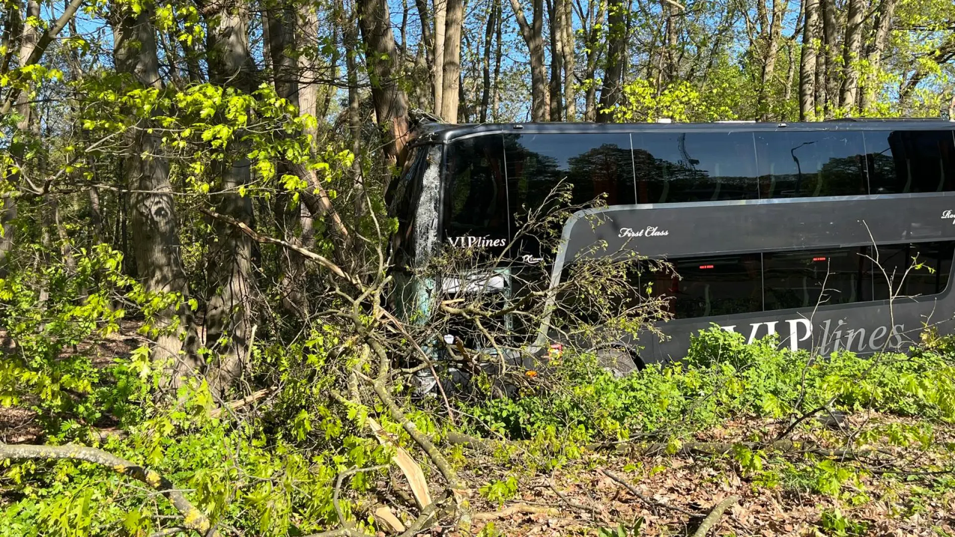 Hoofdafbeelding voor artikel Organisatiedirecteur Ann Roosen…