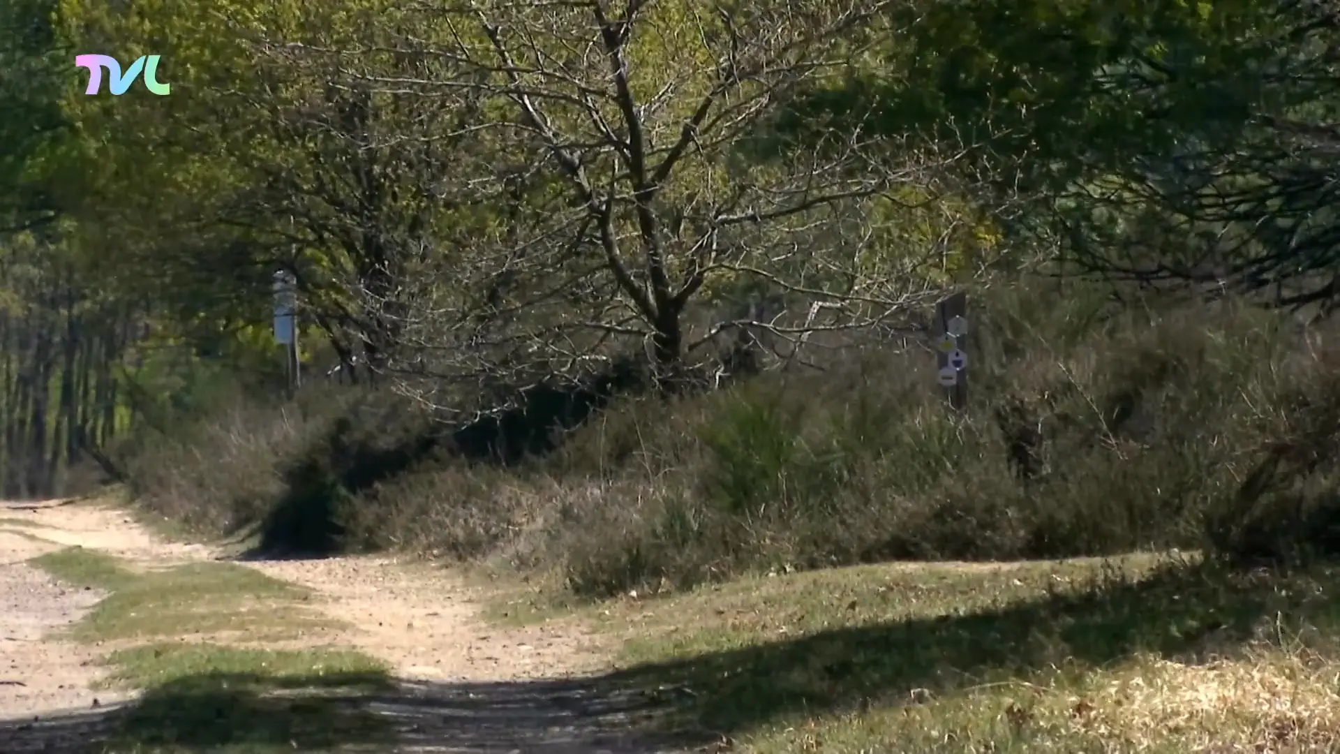 Limburgse boswachters waakzaam voor natuurbrand