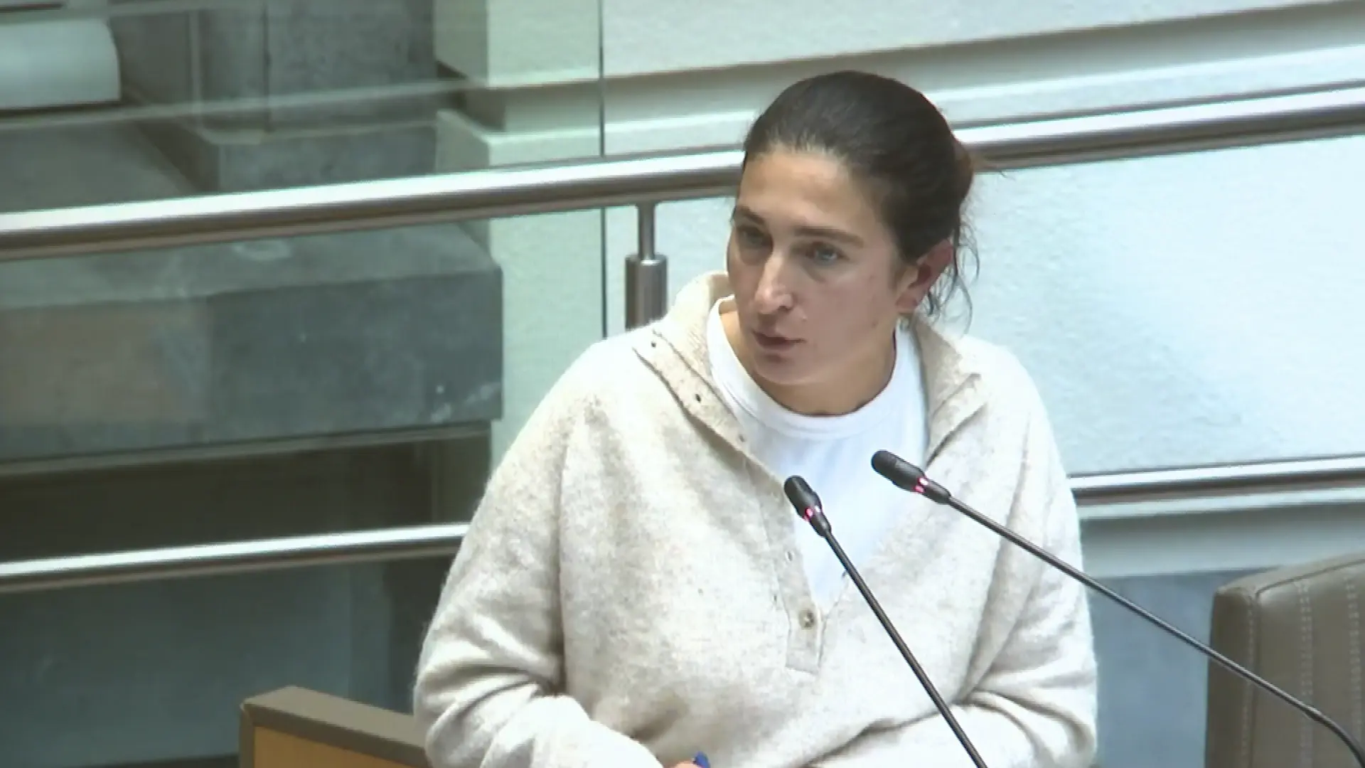 Hoofdafbeelding voor artikel Zuhal Demir (N-VA) na de kritiek:…