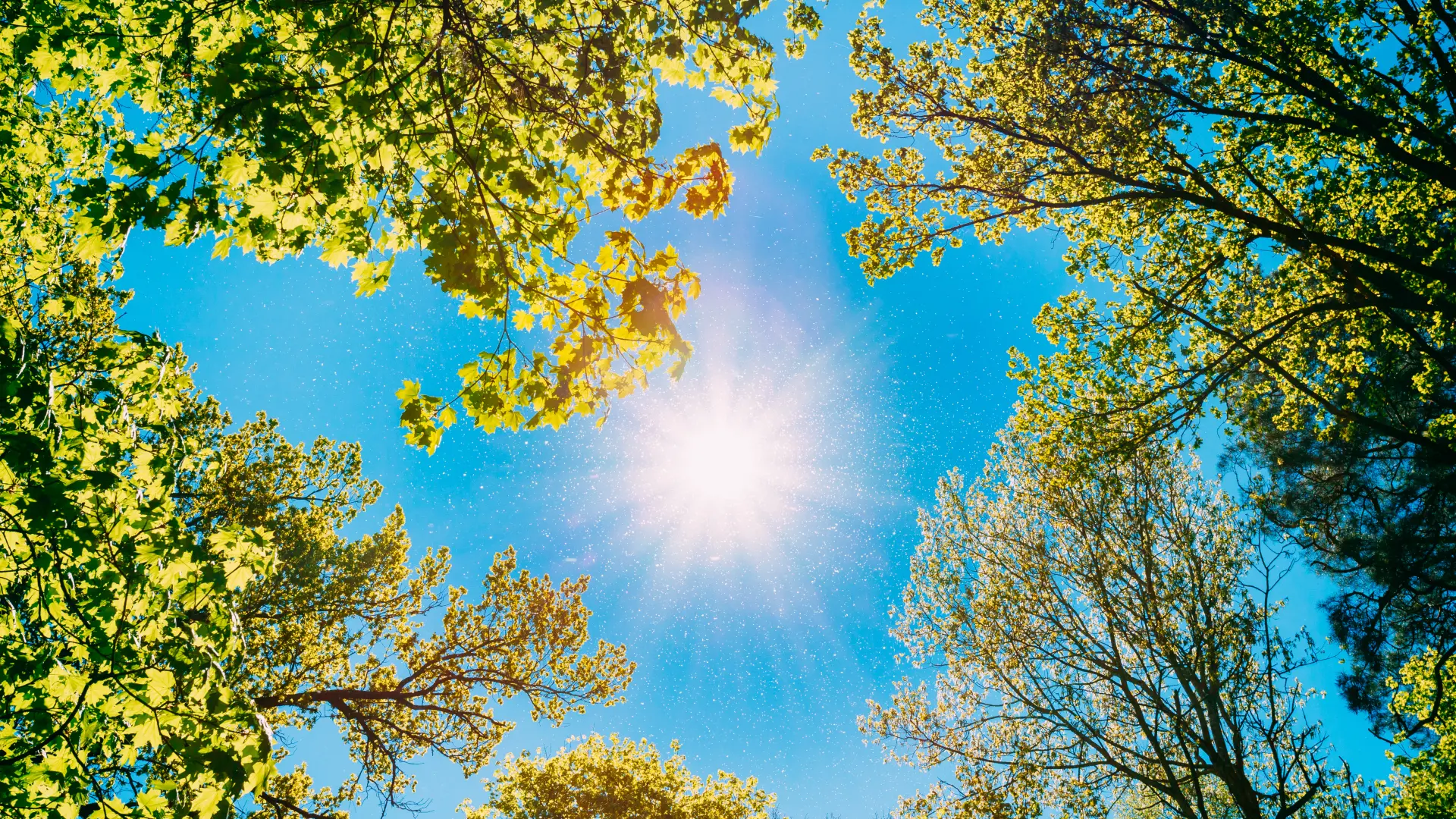 Hoofdafbeelding voor artikel Halen we vandaag 30 graden,…