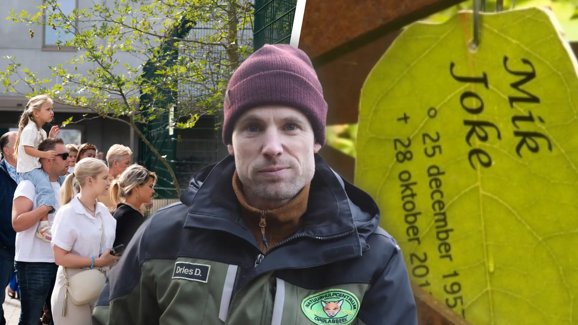 Hoofdafbeelding voor artikel 50 jaar Natuurhulpcentrum…