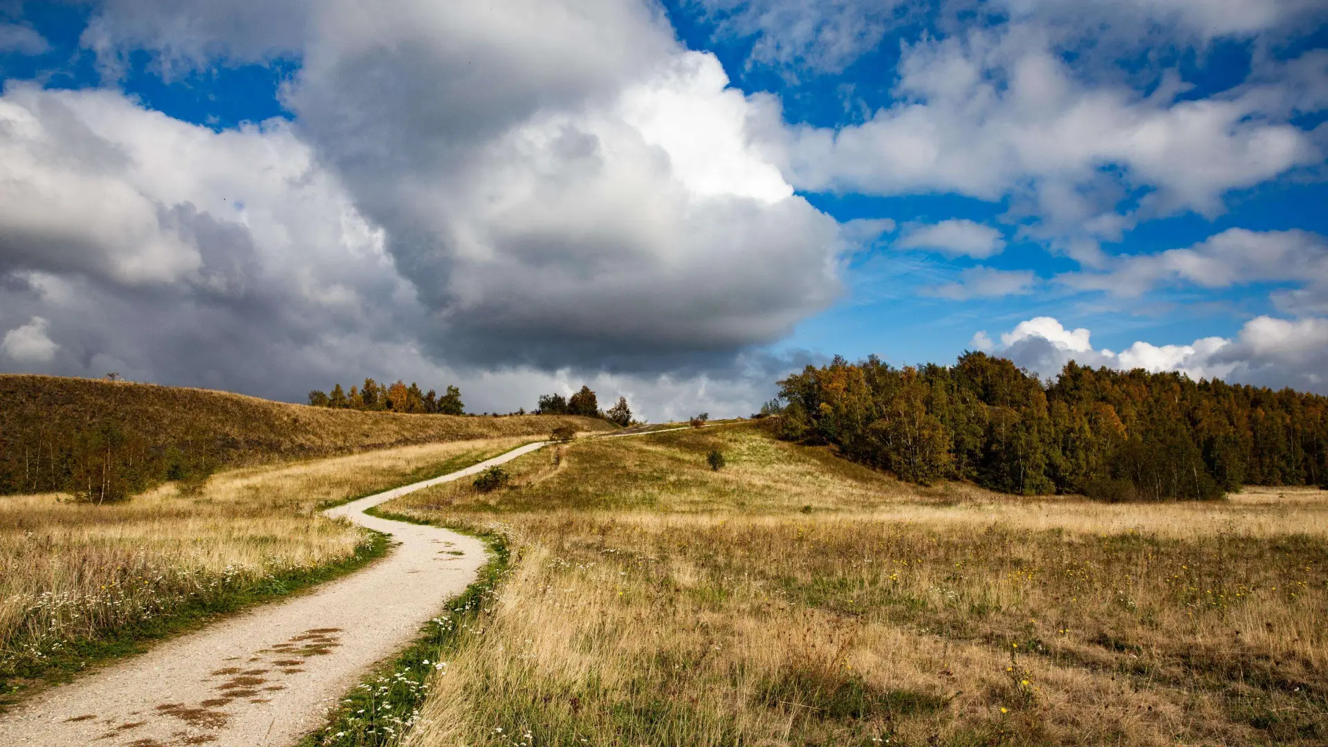 Hoofdafbeelding voor artikel BE-Alert voor Limburg door…