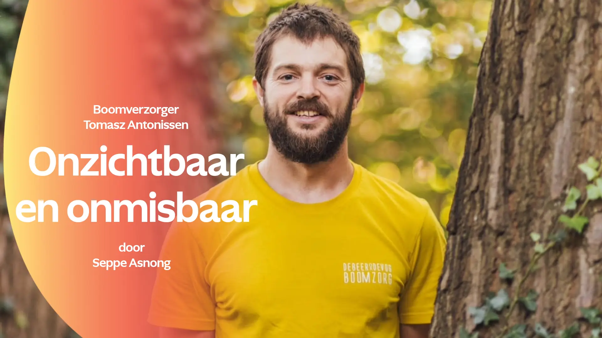 Hoofdafbeelding voor artikel Boomverzorger klimt uit de…