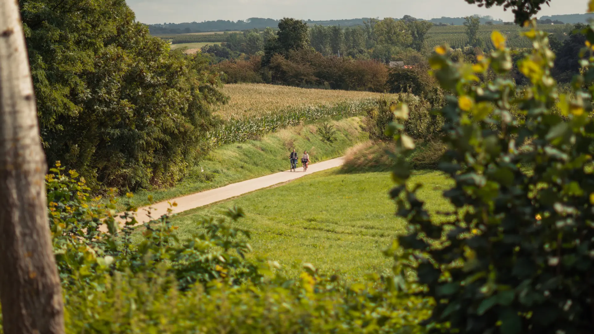 Hoofdafbeelding voor artikel 7 ontslagen bij Visit Limburg…