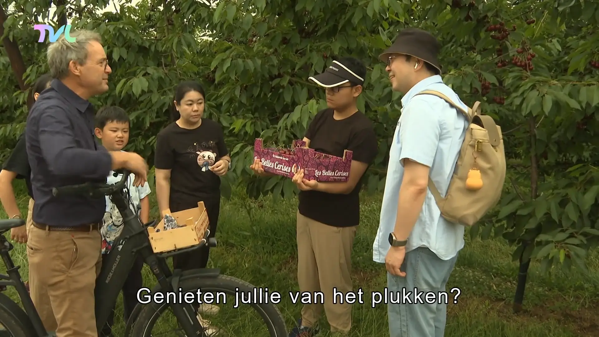 Hoofdafbeelding voor artikel Kersenteler uit Borgloon wordt…