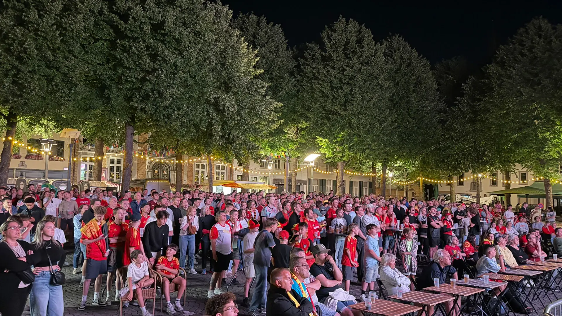 Hoofdafbeelding voor artikel Zo keek Maaseik vannacht naar…