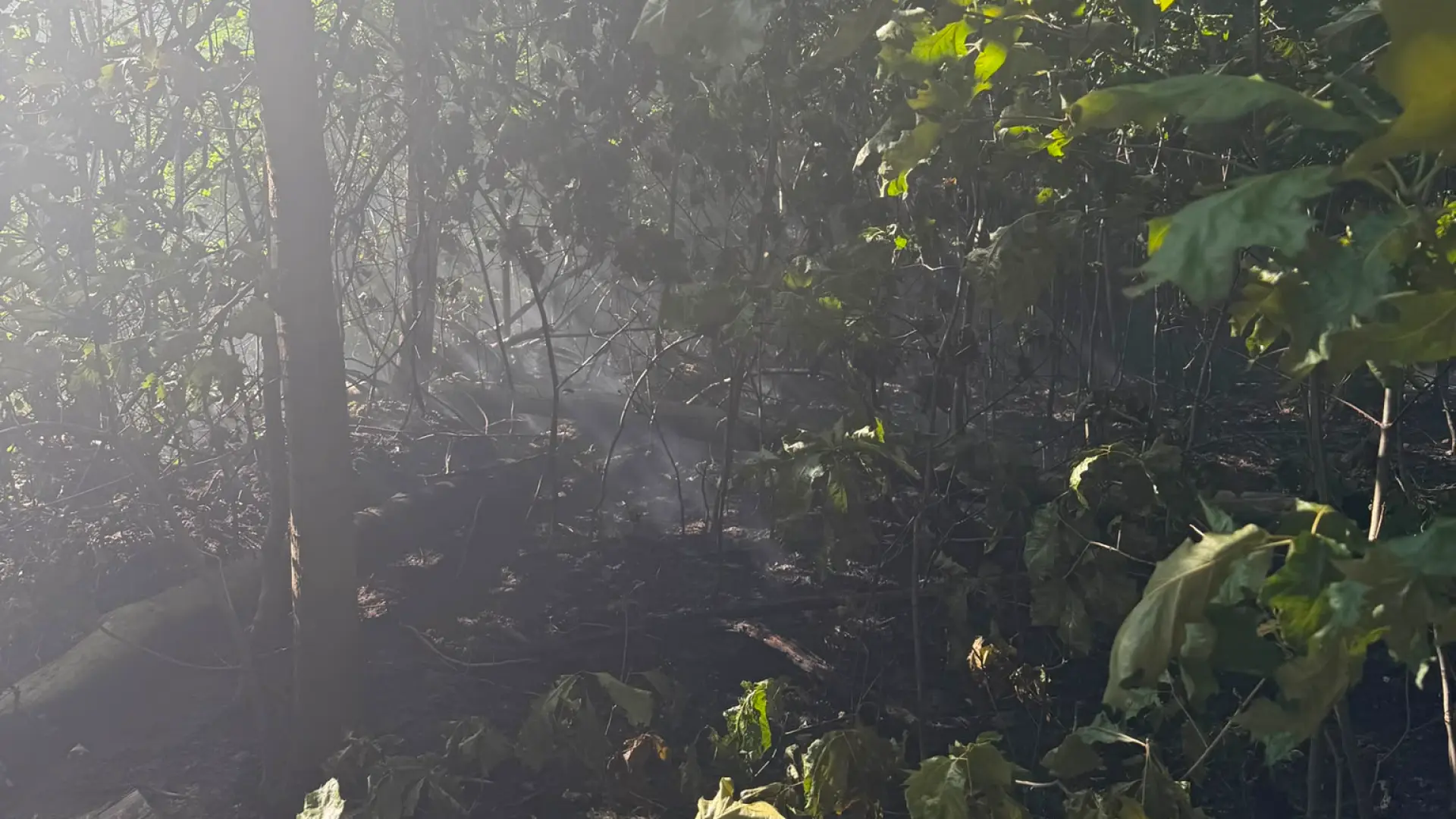 Hoofdafbeelding voor artikel Brand flakkert opnieuw op…