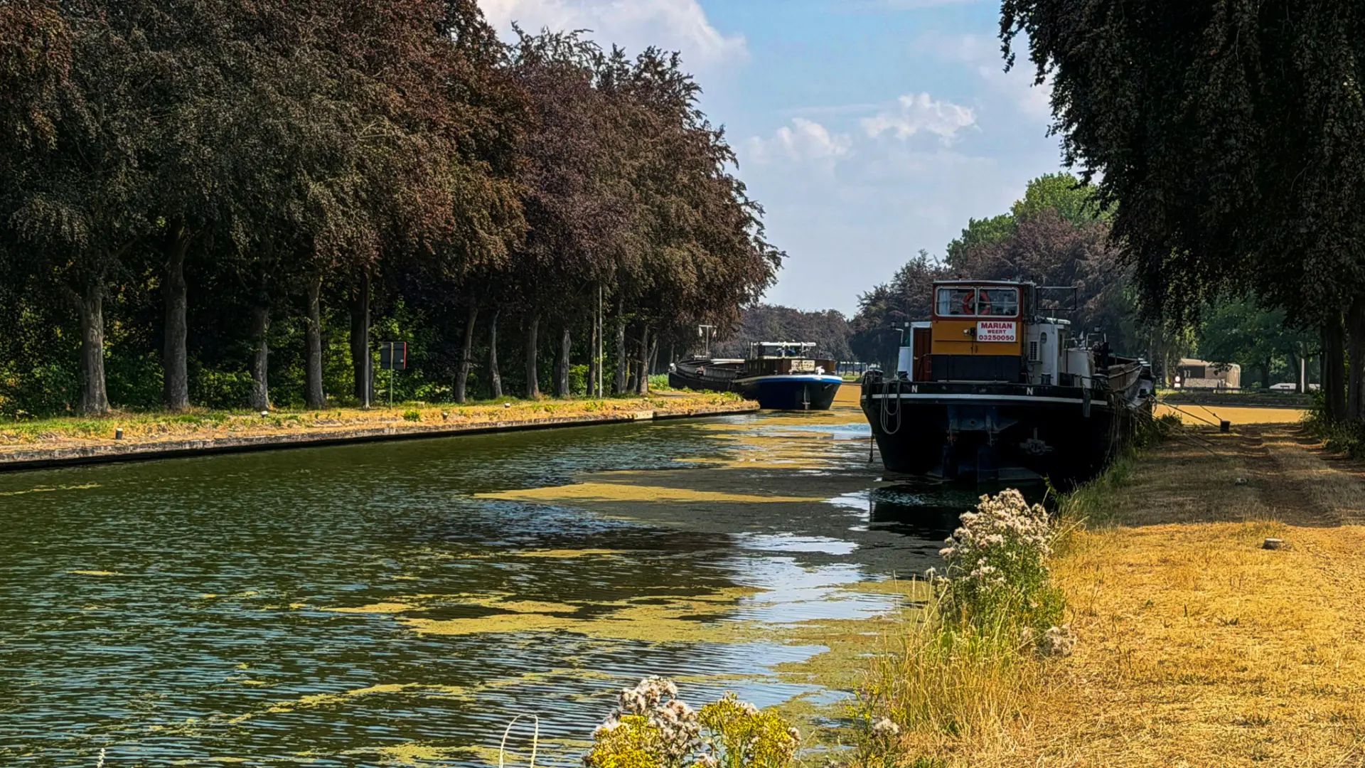 Hoofdafbeelding voor artikel Droogte zorgt voor beperkingen…