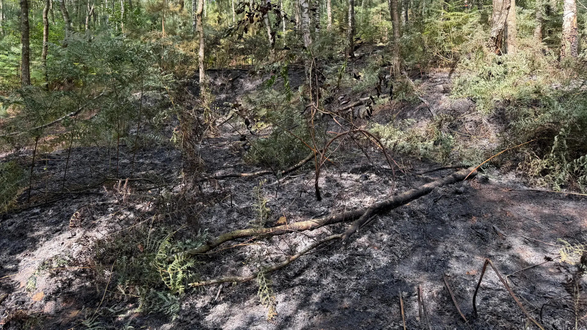 7 brandhaarden in Genk en Dilsen-Stokkem zijn aangestoken
