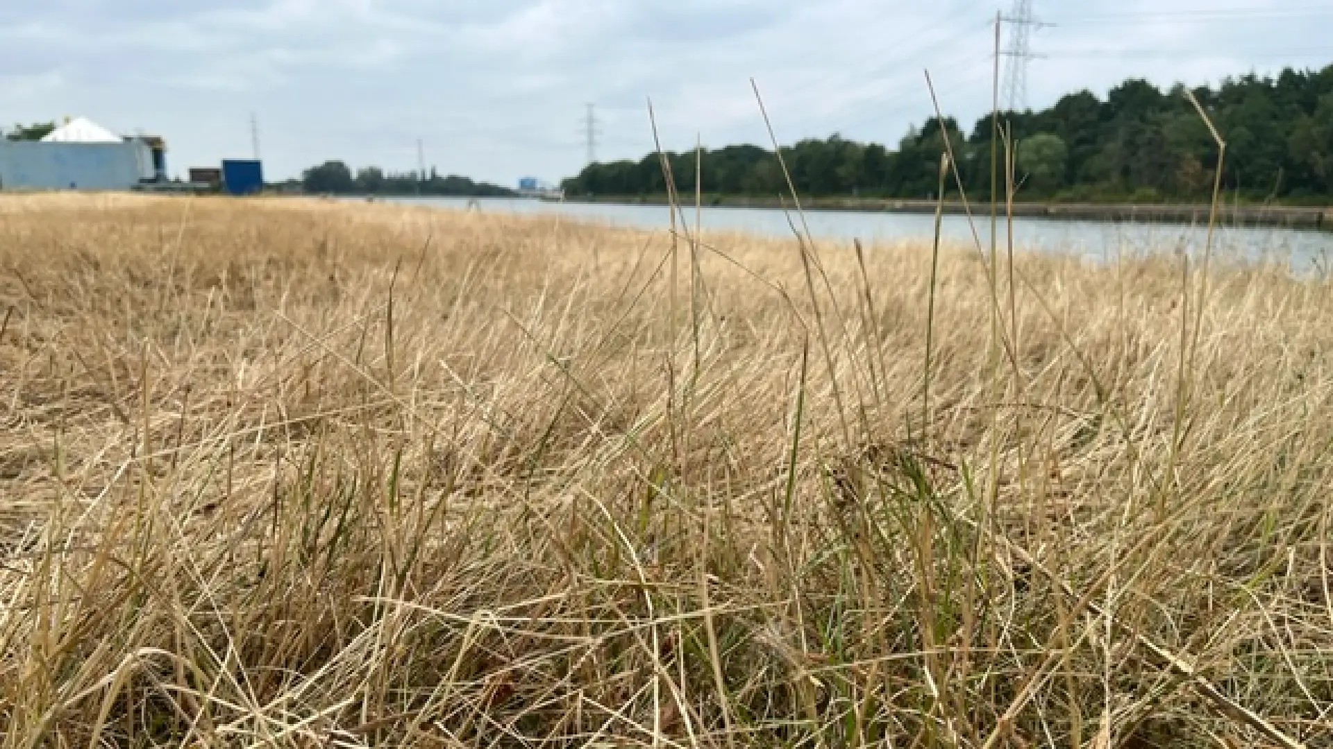 Hoofdafbeelding voor artikel Het wordt frisser maar brandgevaar…