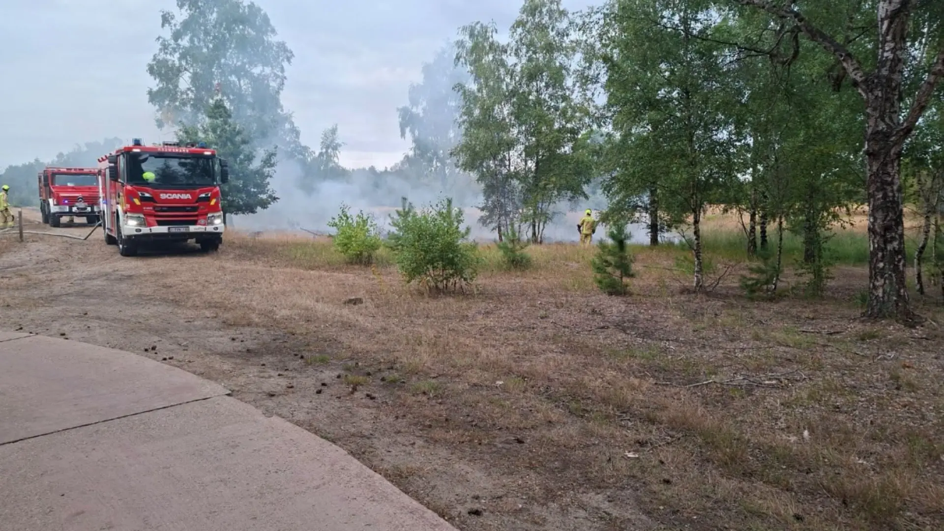 Hoofdafbeelding voor artikel Grasbrand in Lommelse Sahara…