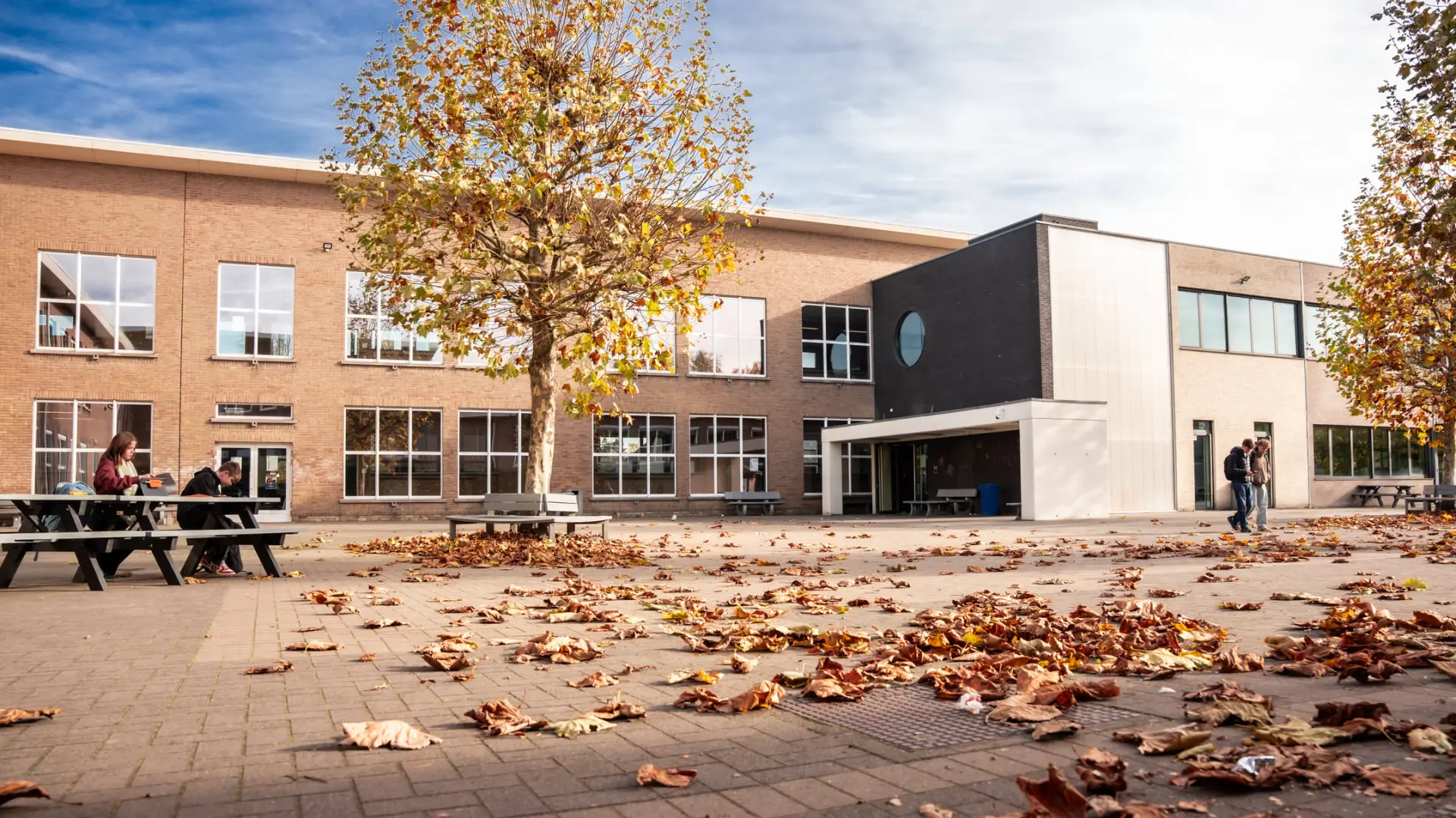 Hoofdafbeelding voor artikel Schoolkinderen in Hechtel-Eksel…