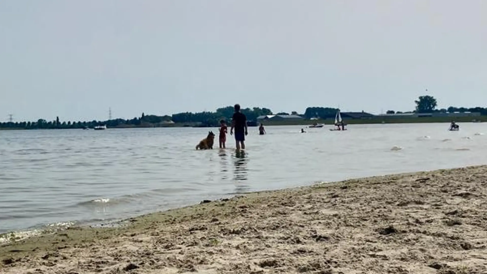 Zwemverbod aan surfstrand Bastion door blauwalg