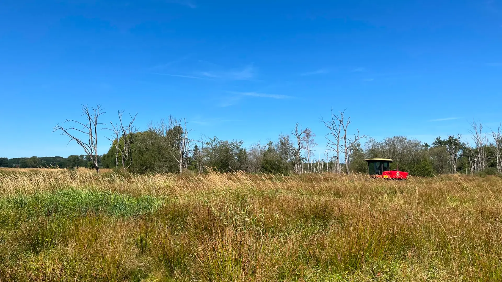 Hoofdafbeelding voor artikel Droogte maakt natuurbeheer…