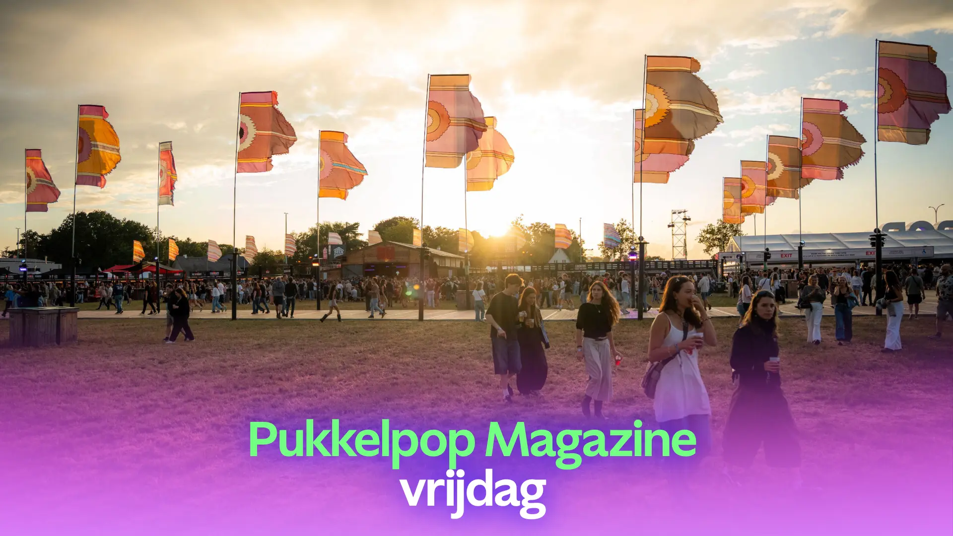 Hoofdafbeelding voor artikel PUKKELPOP MAGAZINE: Roxy Dekker,…